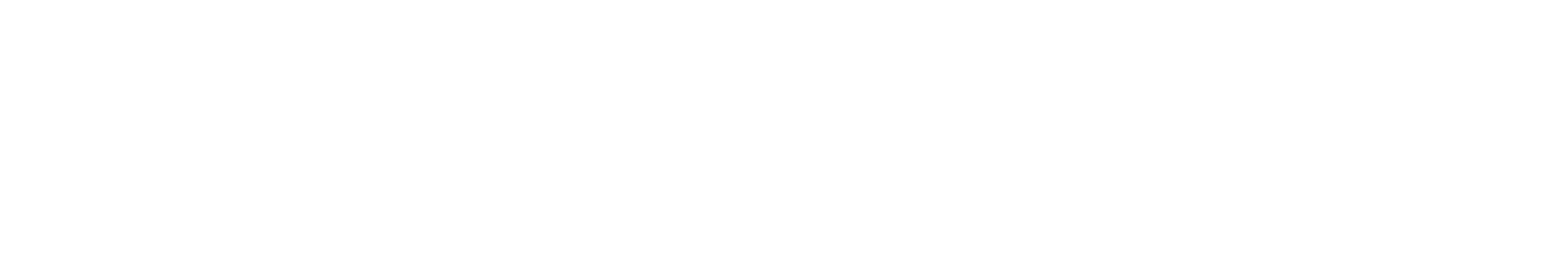 Your Logo Light